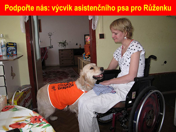 Růženka a Tamp